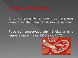 Glóbulos VermelhosÉ o componente a que nos referimos quando se fala numa transfusão de sangue.Pode ser conservado até 42 dias a uma temperatura entre os +2ºC e os +6ºC.