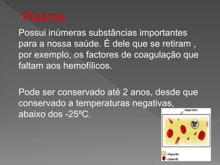 PlasmaPossui inúmeras substâncias importantes para a nossa saúde. É dele que se retiram , por exemplo, os factores de coagulação que faltam aos hemofílicos.	Pode ser conservado até 2 anos, desde que conservado a temperaturas negativas, abaixo dos -25ºC.