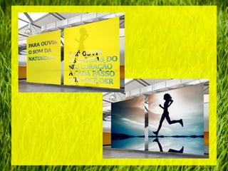 Evento Diferenciado - Rota Eco