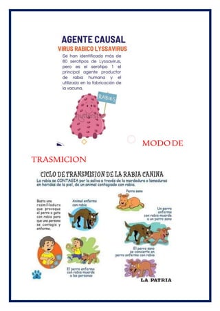MODODE
TRASMICION
 
