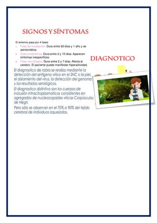 SIGNOSYSÍNTOMAS
DIAGNOTICO
 