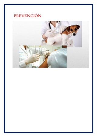 PREVENCIÓN
 