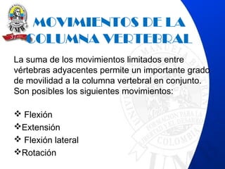 MOVIMIENTOS DE LA
COLUMNA VERTEBRAL
La suma de los movimientos limitados entre
vértebras adyacentes permite un importante grado
de movilidad a la columna vertebral en conjunto.
Son posibles los siguientes movimientos:  
 Flexión
Extensión
 Flexión lateral
Rotación
 