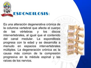ESPONDILOSIS:
Es una alteración degenerativa crónica de
la columna vertebral que afecta el cuerpo
de las vértebras y los discos
intervertebrales, al igual que el contenido
del canal medular. La espondilosis
progresa con la edad y se desarrolla a
menudo en espacios intervertebrales
múltiples. La degeneración crónica es la
causa más común de la compresión
progresiva en la médula espinal y las
raíces de los nervios.
 