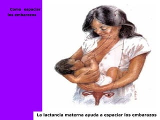 Como espaciar
los embarazos
La lactancia materna ayuda a espaciar los embarazos
 