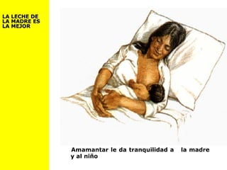 LA LECHE DELA LECHE DE
LA MADRE ESLA MADRE ES
LA MEJORLA MEJOR
Amamantar le da tranquilidad a la madre
y al niño
 
