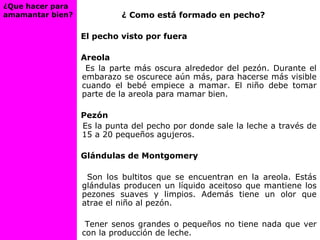 ¿ Como está formado en pecho?
El pecho visto por fuera
Areola
Es la parte más oscura alrededor del pezón. Durante el
embarazo se oscurece aún más, para hacerse más visible
cuando el bebé empiece a mamar. El niño debe tomar
parte de la areola para mamar bien.
Pezón
Es la punta del pecho por donde sale la leche a través de
15 a 20 pequeños agujeros.
Glándulas de Montgomery
Son los bultitos que se encuentran en la areola. Estás
glándulas producen un líquido aceitoso que mantiene los
pezones suaves y limpios. Además tiene un olor que
atrae el niño al pezón.
Tener senos grandes o pequeños no tiene nada que ver
con la producción de leche.
¿Que hacer para
amamantar bien?
 