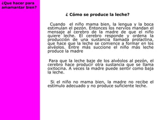 ¿ Cómo se produce la leche?
Cuando el niño mama bien, la lengua y la boca
estimulan el pezón. Entonces los nervios mandan el
mensaje al cerebro de la madre de que el niño
quiere leche. El cerebro responde y ordena la
producción de una sustancia llamada prolactina,
que hace que la leche se comience a formar en los
alvéolos. Entre más succione el niño más leche
produce la madre
Para que la leche baje de los alvéolos al pezón, el
cerebro hace producir otra sustancia que se llama
oxitocina. A veces la madre puede sentir como baja
la leche.
Si el niño no mama bien, la madre no recibe el
estímulo adecuado y no produce suficiente leche.
¿Que hacer para
amamantar bien?
 