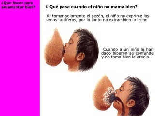 ¿ Qué pasa cuando el niño no mama bien?
Al tomar solamente el pezón, el niño no exprime los
senos lactíferos, por lo tanto no extrae bien la leche
Cuando a un niño le han
dado biberón se confunde
y no toma bien la areola.
¿Que hacer para
amamantar bien?
 