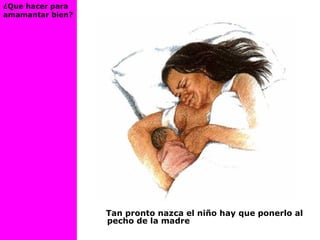 Tan pronto nazca el niño hay que ponerlo al
pecho de la madre
¿Que hacer para
amamantar bien?
 