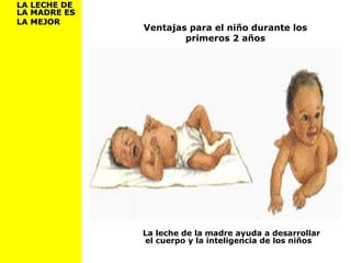Ventajas para el niño durante los
primeros 2 años
La leche de la madre ayuda a desarrollar
el cuerpo y la inteligencia de los niños
LA LECHE DELA LECHE DE
LA MADRE ESLA MADRE ES
LA MEJORLA MEJOR
 