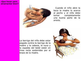 Cuando el niño abre la
boca la madre lo acerca
al pecho y el niño debe
tomar completamente
una buena parte de la
areola.
La barriga del niño debe estar
pegada contra la barriga de la
madre y la cabeza, la nuca y
la espalda del bebé están en
línea recta sostenidas por el
brazo de la madre.
¿Que hacer para
amamantar bien?
 