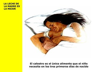 El calostro es el único alimento que el niño
necesita en los tres primeros días de nacido
LA LECHE DELA LECHE DE
LA MADRE ESLA MADRE ES
LA MEJORLA MEJOR
 