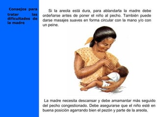 Si la areola está dura, para ablandarla la madre debe
ordeñarse antes de poner el niño al pecho. También puede
darse masajes suaves en forma circular con la mano y/o con
un peine.
La madre necesita descansar y debe amamantar más seguido
del pecho congestionado. Debe asegurarse que el niño esté en
buena posición agarrando bien el pezón y parte de la areola.
Consejos para
tratar las
dificultades de
la madre
 
