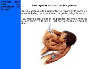 Para ayudar a cicatrizar las grietas
Antes y despúes de amamantar se recomienda sacar un
poco de leche, para ponerla en la grieta y dejarla secar.
La madre debe exponer los pezones por unos minutos
al aire libre y a la luz del sol por lo menos 2 veces al
día.
Consejos para
tratar las
dificultades de
la madre
 