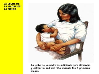 La leche de la madre es suficiente para alimentar
y calmar la sed del niño durante los 6 primeros
meses
LA LECHE DELA LECHE DE
LA MADRE ESLA MADRE ES
LA MEJORLA MEJOR
 