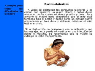 Ductos obstruidos
A veces se obstruyen los conductos lactíferos y es
común que aparezca un punto blanco o bultos duros
alrededor de los cuales se siente presión y dolor. Para
aliviarlo la madre debe asegurarse que el niño está
tomando bien el pecho y puede darse un masaje suave
presionando el área dura y dolorosa mientras el niño
está mamando.
Si la obstrucción no desaparece con la lactancia y con
los masajes, ésta puede convertirse en una infección del
pecho o mastitis. Se recomienda que la madre se
extraiga la leche manualmente.
Consejos para
tratar las
dificultades de
la madre
 