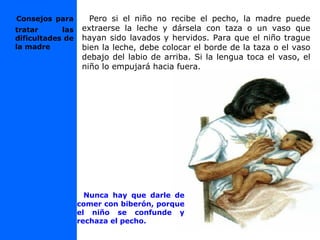 Pero si el niño no recibe el pecho, la madre puede
extraerse la leche y dársela con taza o un vaso que
hayan sido lavados y hervidos. Para que el niño trague
bien la leche, debe colocar el borde de la taza o el vaso
debajo del labio de arriba. Si la lengua toca el vaso, el
niño lo empujará hacia fuera.
Nunca hay que darle de
comer con biberón, porque
el niño se confunde y
rechaza el pecho.
Consejos para
tratar las
dificultades de
la madre
 