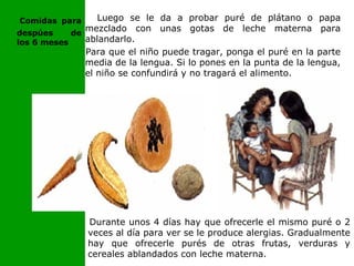 Luego se le da a probar puré de plátano o papa
mezclado con unas gotas de leche materna para
ablandarlo.
Para que el niño puede tragar, ponga el puré en la parte
media de la lengua. Si lo pones en la punta de la lengua,
el niño se confundirá y no tragará el alimento.
Durante unos 4 días hay que ofrecerle el mismo puré o 2
veces al día para ver se le produce alergias. Gradualmente
hay que ofrecerle purés de otras frutas, verduras y
cereales ablandados con leche materna.
Comidas para
despúes de
los 6 meses
 