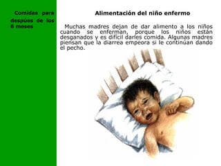 Alimentación del niño enfermo
Muchas madres dejan de dar alimento a los niños
cuando se enferman, porque los niños están
desganados y es difícil darles comida. Algunas madres
piensan que la diarrea empeora si le continúan dando
el pecho.
Comidas para
despúes de los
6 meses
 