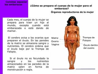 ¿Cómo se prepara el cuerpo de la mujer para el
embarazo?
Órganos reproductores de la mujer
Comidas espaciar
los embarazos
Cada mes, el cuerpo de la mujer se
prepara para traer un hijo al
mundo, excepto cuando está
embarazada o está dando de
mamar.
El cerebro avisa a los ovarios que
preparen el óvulo. En las paredes
de la matriz se almacena sangre y
nutrientes. El cerebro ordena que
el óvulo baje por la Trompa de
Falopio.
Si el óvulo no es fecundado la
sangre y los nutrientes
almacenados en las paredes de la
matriz salen en forma de
menstruación o regla.
 