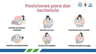 ROTAFOLIO LACTANCIA MATERNA Y CUIDADOS DEL RECIEN NACIDO | PDF