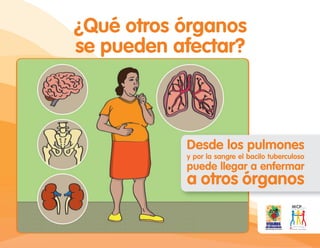 ¿Qué otros órganos
se pueden afectar?
Desde los pulmones
y por la sangre el bacilo tuberculoso
puede llegar a enfermar
a otros órganos
 