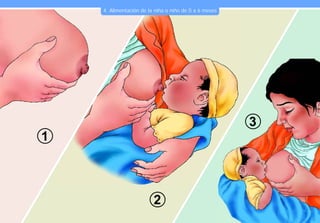 4. Alimentación de la niña o niño de 0 a 6 meses




                                                       3
1



                         2
 