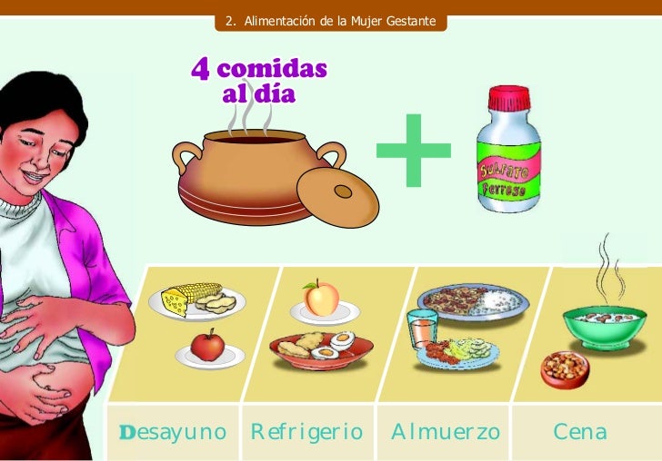 Rotafolio Nutricion Pmaweb