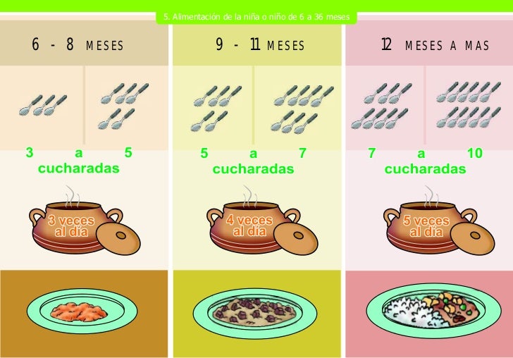 Cuantas Veces Debe Comer Un Bebe De 6 Meses