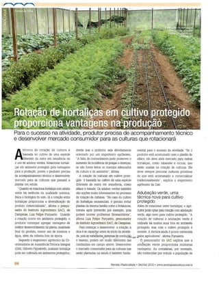 Rotação de hortaliças em cultivo protegido proporciona vantagens na produção