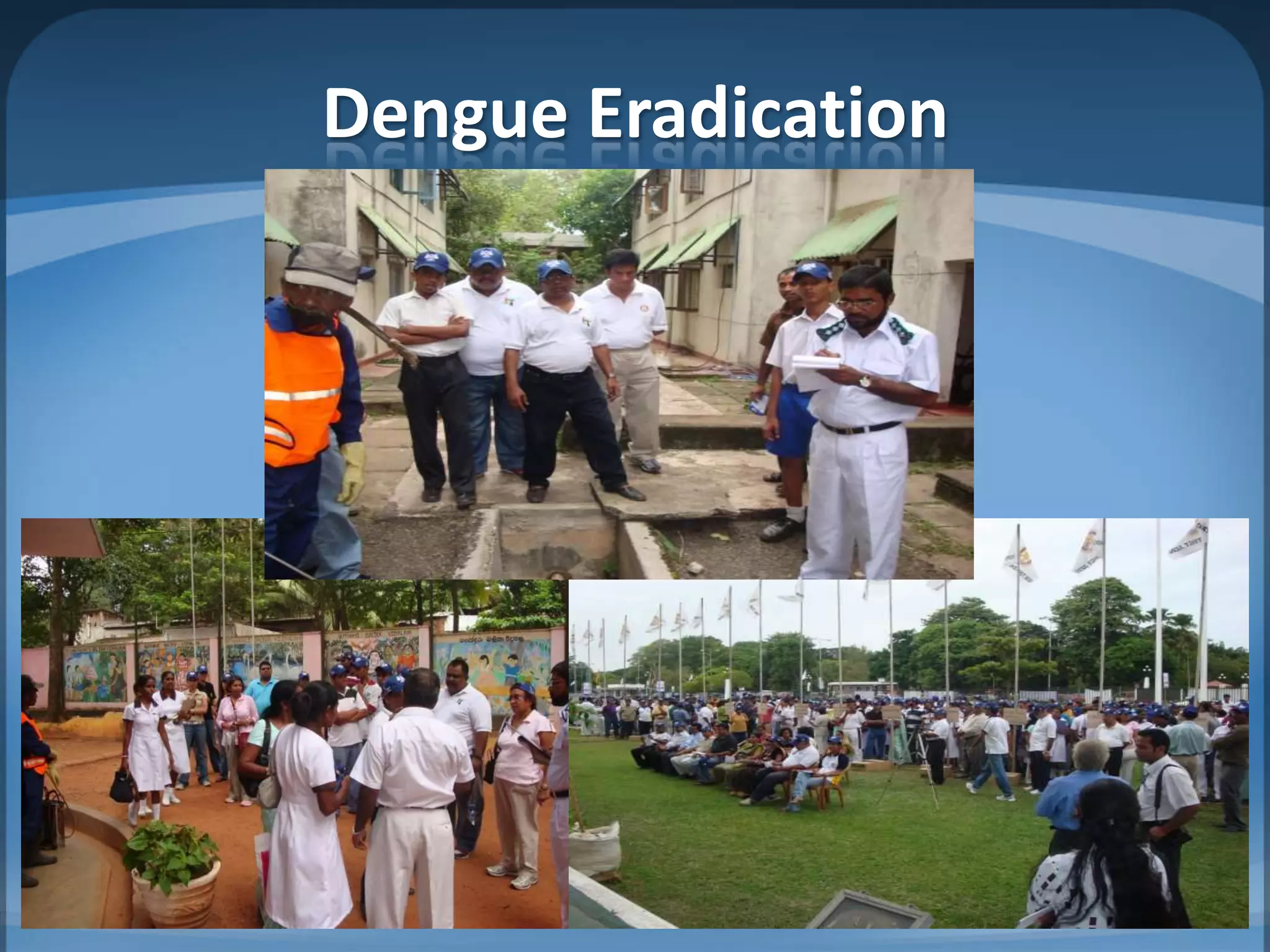 Dengue Eradication
 