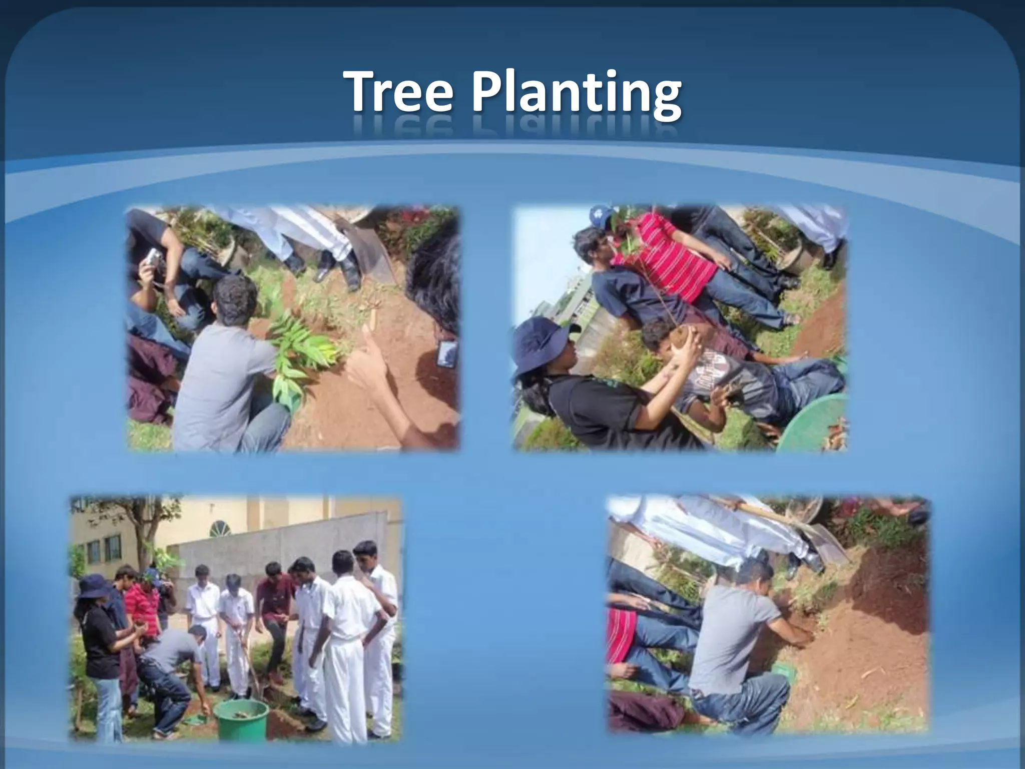 Tree Planting
 
