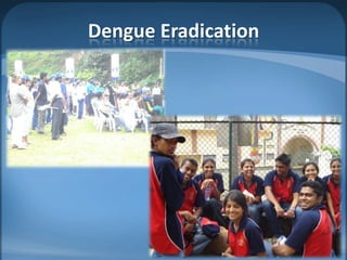 Dengue Eradication
 