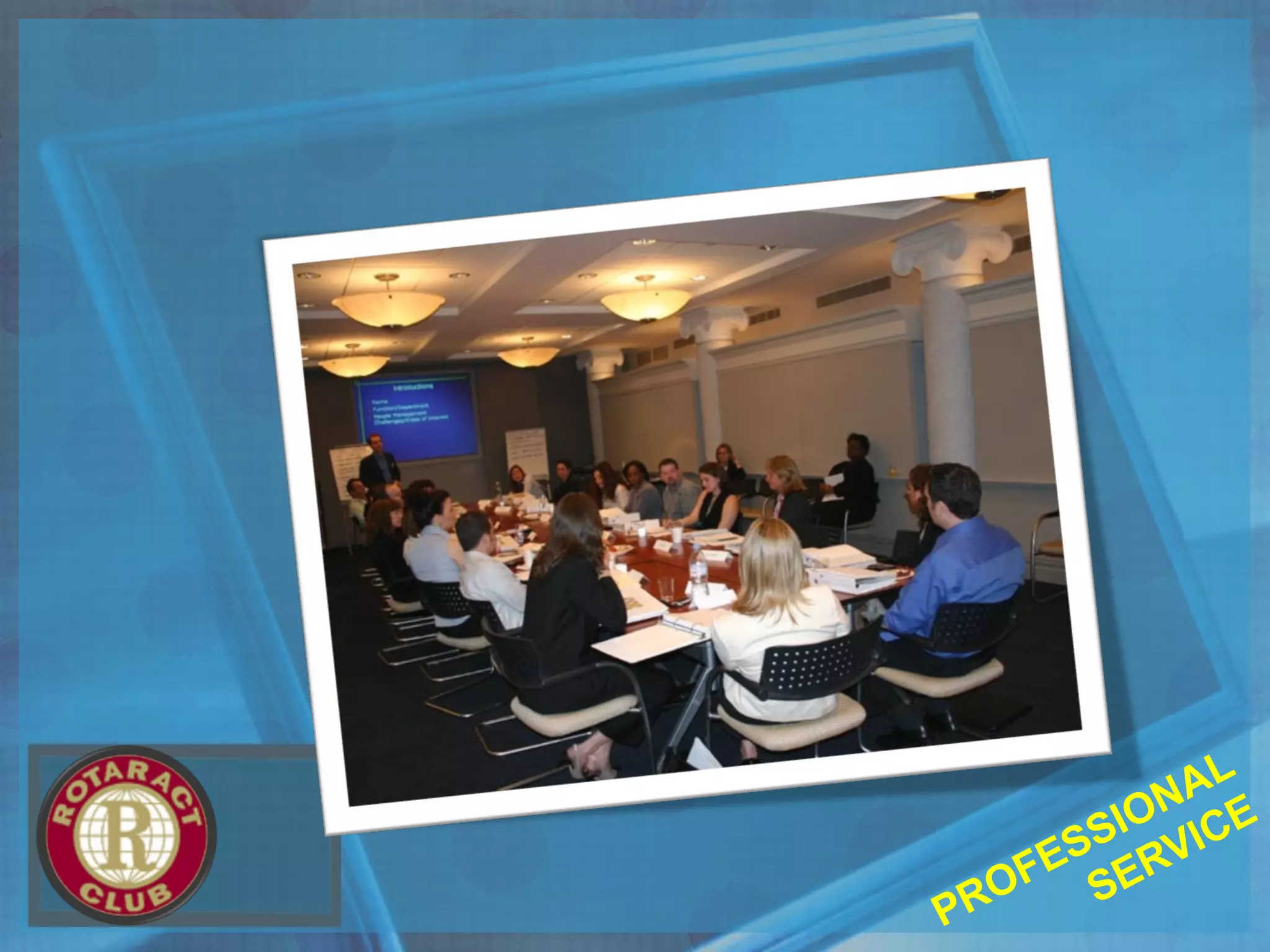 PROFESSIONAL
SERVICE
 