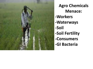 Agro Chemicals
      Menace:
-Workers
-Waterways
-Soil
-Soil Fertility
-Consumers
-GI Bacteria
 