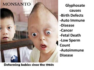 Glyphosate
      causes
-Birth Defects
-Auto Immune
-Disease
-Cancer
-Fetal Death
-Low Sperm
Count
-Autoimmune
Disease
 