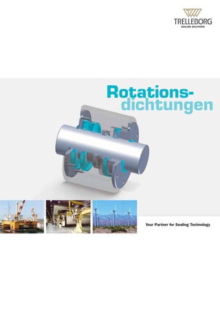Rotationsdichtungen
                                       Rotations-
                                        dichtungen




                                           Your Partner for Sealing Technology
99DETCATAE0211
 