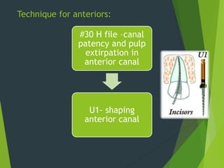 ROTARY ENDODONTICS IN PEDODONTICS | PPTX