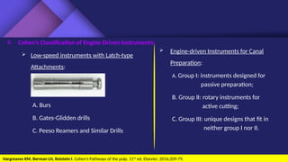 Rotary Endodontics in Primary and Permanent Teeth | PPTX