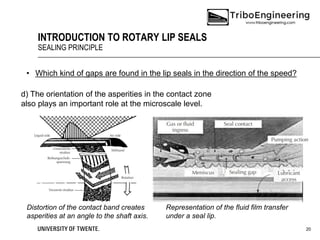 Introduction to Rotary Lip Seals | PDF