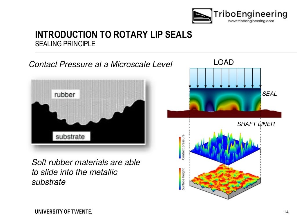 Introduction to Rotary Lip Seals