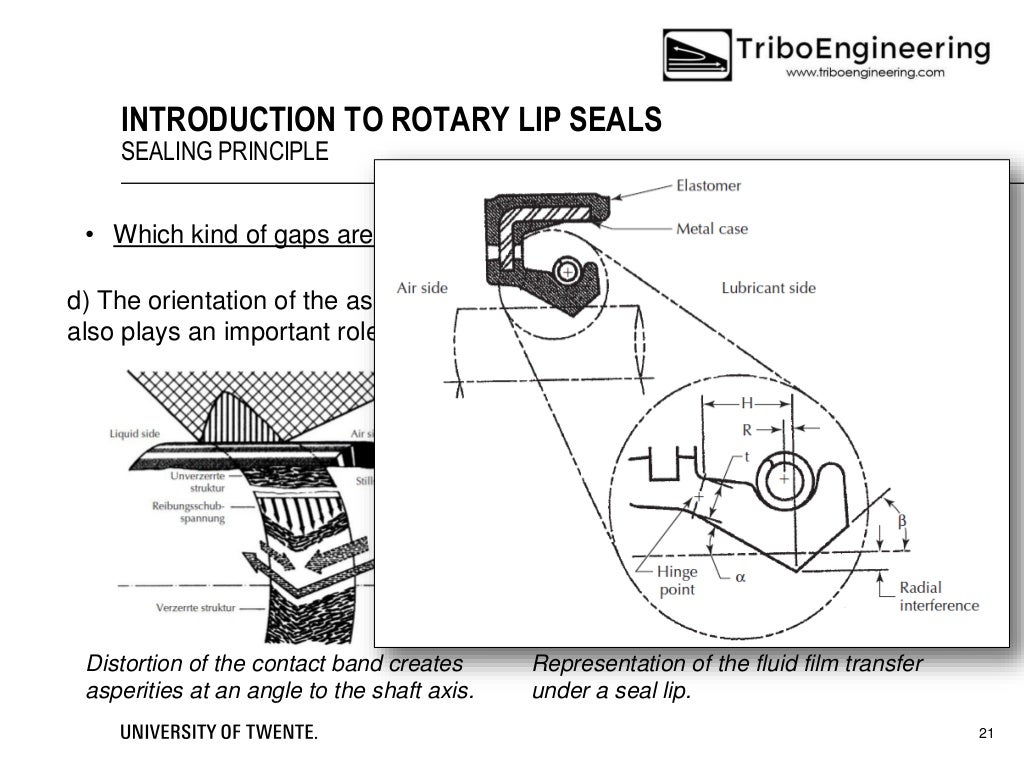 Introduction to Rotary Lip Seals