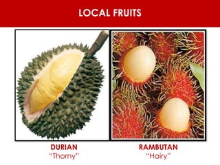 LOCAL FRUITS
DURIAN
“Thorny”
RAMBUTAN
“Hairy”
 