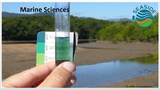 Marine Sciences
© Seaside Sustainability, Inc.
 