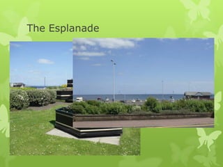 The Esplanade

 