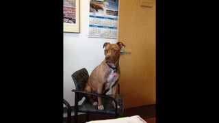 Rotary senior spotlight nov 2014