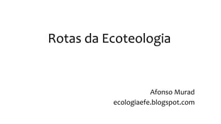 Rotas da Ecoteologia
Afonso Murad
ecologiaefe.blogspot.com
 