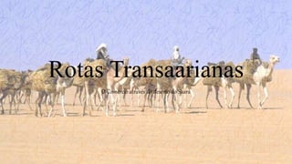 Rotas Transaarianas
O Comércio através do deserto do Saara
 