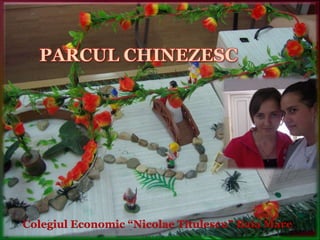 PARCUL CHINEZESC,[object Object],Colegiul Economic “Nicolae Titulescu” Baia Mare,[object Object]